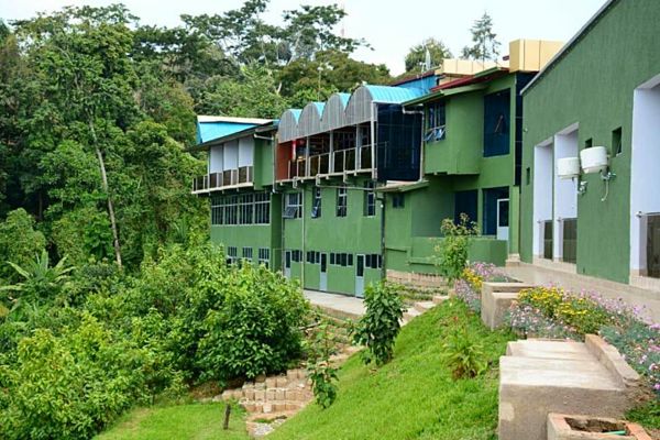 CHIMPANZEE LODGE